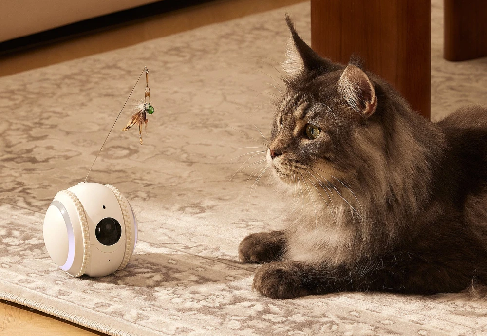video camera for pets